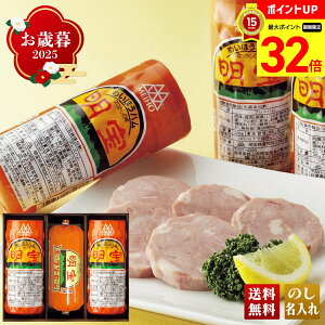 【マラソン最大32倍】 お歳暮 御歳暮 早割 冬ギフト 帰歳暮 ギフト プレゼント 送料無料 ギフト 2025 明宝ハムとポークソーセージ詰合せ 「H2P-B」 肉 肉加工品 ハム 明宝ハム ポークソーセー