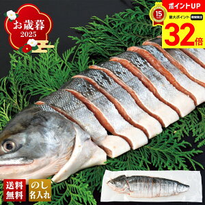 y}\ő32{z Ε Ε  ~Mtg AΕ Mtg v[g  Mtg 2025 CY g uNOAK-80v CN V[t[h N CY kC g V