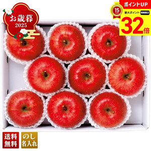 yBLACK FRIDAYő32{z Ε Ε  ~Mtg AΕ Mtg v[g  Mtg 2025 Tӂ uR12-1Av t[c ʕ  S Tӂ