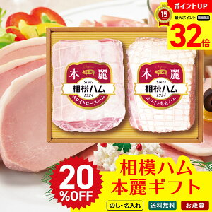 20OFF yBLACK FRIDAYő32{z Ε Ε  ~Mtg AΕ Mtg v[g  Mtg 2025 ̓n {Mtg uSR-503v  Hi n ̓n I zCg[Xn