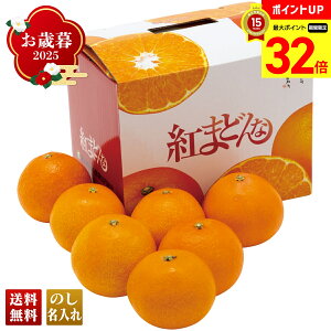 yBLACK FRIDAYő32{z Ε Ε  ~Mtg AΕ Mtg v[g  Mtg 2025 QY g܂ǂ uY13-4v t[c ʕ ݂ ~J  QY g܂ǂ l