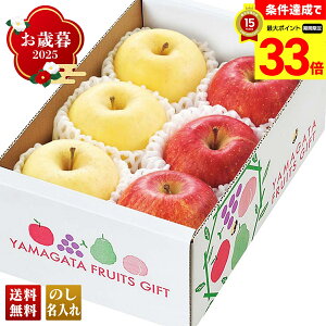 yyVX[p[Z[ő33{z Ε Ε  ~Mtg AΕ Mtg v[g  Mtg 2025 R`Y TӂƂ͂邩Hה uA12-5v t[c ʕ  S R