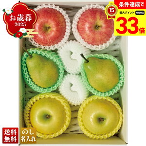 yyVX[p[Z[ő33{z Ε Ε  ~Mtg AΕ Mtg v[g  Mtg 2025 R`Y 3̉ʎl uA15-12Bv t[c ʕ R`Y 3 ʎ l