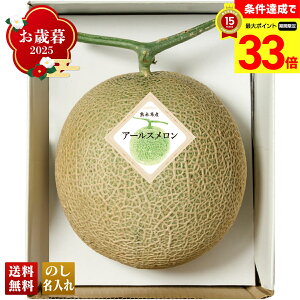 yyVX[p[Z[ő33{z Ε Ε  ~Mtg AΕ Mtg v[g  Mtg 2025 F{Y A[X uB10-4v t[c ʕ  F{Y A[X