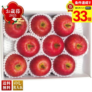 yyVX[p[Z[ő33{z Ε Ε  ~Mtg AΕ Mtg v[g  Mtg 2025 XY  uB12-4v t[c ʕ  S XY