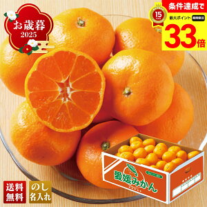 yyVX[p[Z[ő33{z Ε Ε  ~Mtg AΕ Mtg v[g  Mtg 2025 Q݂ uB13-3v t[c ʕ ݂ ~J  Q݂