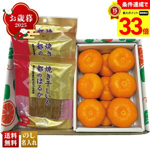 yyVX[p[Z[ő33{z Ε Ε  ~Mtg AΕ Mtg v[g  Mtg 2025 ĂƌF{Y ݂ uB14-7v t[c ʕ ݂ ~J 