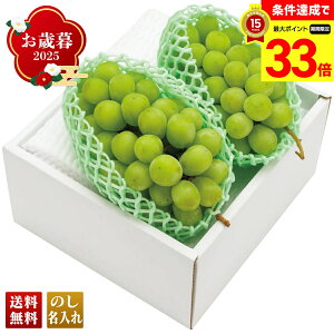 yyVX[p[Z[ő33{z Ε Ε  ~Mtg AΕ Mtg v[g  Mtg 2025 R`Y VC}XJbg uB15-7v t[c ʕ R`Y VC}XJ