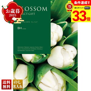 yyVX[p[Z[ő33{z Ε Ε  ~Mtg AΕ Mtg v[g  Mtg 2025 ubT `[bv uBHv J^OMtg Iׂ OMtg `CX