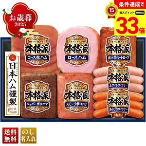 yyVX[p[Z[ő33{z Ε Ε  ~Mtg AΕ Mtg v[g  Mtg 2025 {n {ihMtg uNH-349v  Hi n {n uhn [