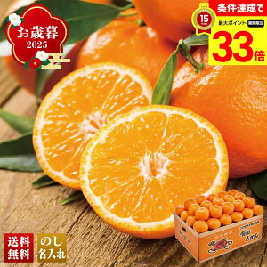 yyVX[p[Z[ő33{z Ε Ε  ~Mtg AΕ Mtg v[g  Mtg 2025 a̎RY Lc݂ uQ13-3Av t[c ʕ ݂ ~J  a̎RY