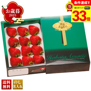 yyVX[p[Z[ő33{z Ε Ε  ~Mtg AΕ Mtg v[g  Mtg 2025 JAӂ ܂ uR15-10v t[c ʕ JAӂ 