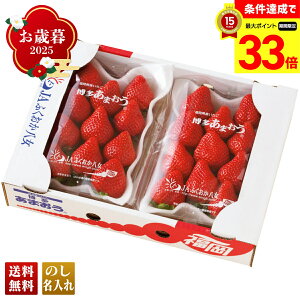 yyVX[p[Z[ő33{z Ε Ε  ~Mtg AΕ Mtg v[g  Mtg 2025 JAӂ ܂ uR15-12v t[c ʕ JAӂ 