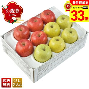 yyVX[p[Z[ő33{z Ε Ε  ~Mtg AΕ Mtg v[g  Mtg 2025 Tӂт uW14-4Yv t[c ʕ  S Tӂ 