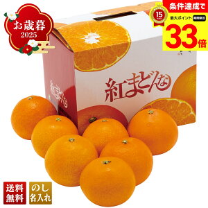 yyVX[p[Z[ő33{z Ε Ε  ~Mtg AΕ Mtg v[g  Mtg 2025 QY g܂ǂ uY13-4v t[c ʕ ݂ ~J  QY g