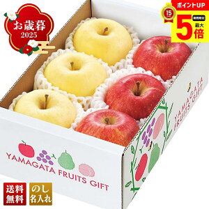 yő|Cg5{DAYz Ε Ε  ~Mtg AΕ Mtg v[g  Mtg 2025 R`Y TӂƂ͂邩Hה uA12-5v t[c ʕ  S R`Y T