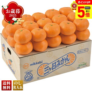 yő|Cg5{z Ε Ε  ~Mtg AΕ Mtg v[g  Mtg 2025 ÉY OP݂ uA13-1v t[c ʕ ݂ ~J  ÉY