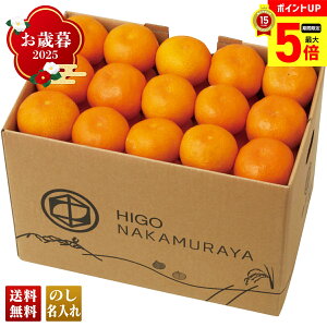 yő|Cg5{z Ε Ε  ~Mtg AΕ Mtg v[g  Mtg 2025 ꌧY Â݂ uA13-3v t[c ʕ ݂ ~J  ꌧY