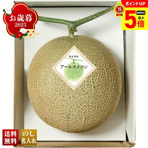 【最大ポイント5倍】 お歳暮 御歳暮 早割 冬ギフト 帰歳暮 ギフト プレゼント 送料無料 ギフト 2025 熊本県産 アールスメロン 「B10-4」 フルーツ 果物 メロン 熊本県産 アールスメロン