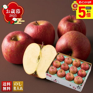 yő|Cg5{z Ε Ε  ~Mtg AΕ Mtg v[g  Mtg 2025 R`Y Tӂ uB12-2v t[c ʕ  S R`Y Tӂ lC i 