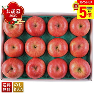 yő|Cg5{z Ε Ε  ~Mtg AΕ Mtg v[g  Mtg 2025 JAOO Tӂ񂲁iW[j uB12-3v t[c ʕ  S 