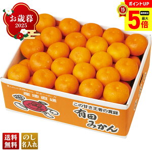【最大ポイント5倍】 お歳暮 御歳暮 早割 冬ギフト 帰歳暮 ギフト プレゼント 送料無料 ギフト 2025 和歌山県産 有田みかん 「B13-1B」 フルーツ 果物 みかん ミカン 蜜柑 和歌山県産