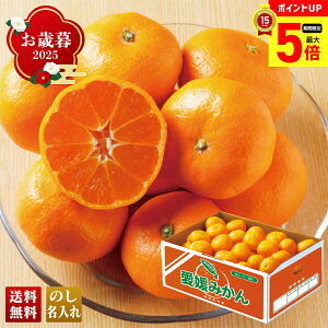 y12/1܂ōő|Cg5{z Ε Ε  ~Mtg AΕ Mtg v[g  Mtg 2025 Q݂ uB13-3v t[c ʕ ݂ ~J  Q݂