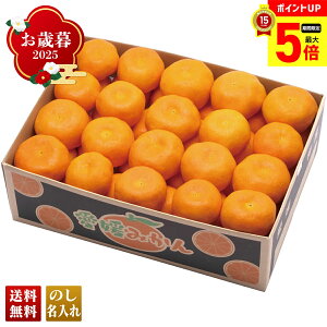 yő|Cg5{z Ε Ε  ~Mtg AΕ Mtg v[g  Mtg 2025 Q݂ uB13-4v t[c ʕ ݂ ~J  Q݂