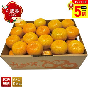 yő|Cg5{z Ε Ε  ~Mtg AΕ Mtg v[g  Mtg 2025 Y ݂ uB13-8v t[c ʕ ݂ ~J  Y