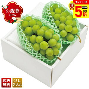 y12/1܂ōő|Cg5{z Ε Ε  ~Mtg AΕ Mtg v[g  Mtg 2025 R`Y VC}XJbg uB15-7v t[c ʕ R`Y VC}XJbg