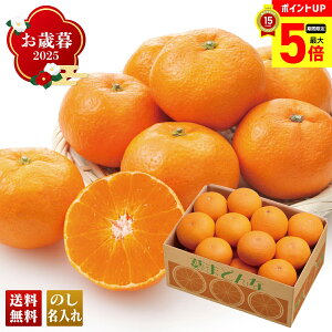 yő|Cg5{z Ε Ε  ~Mtg AΕ Mtg v[g  Mtg 2025 QY ܂ǂ uB15-8v t[c ʕ ݂ ~J QY ܂ǂ lC 