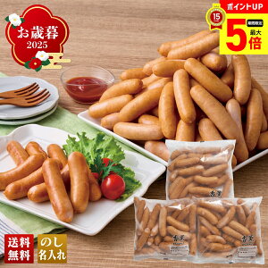 yő|Cg5{z Ε Ε  ~Mtg AΕ Mtg v[g  Mtg 2025 v}n Oт|[NEBi[ uBAW-FF500v  Hi n v}n u