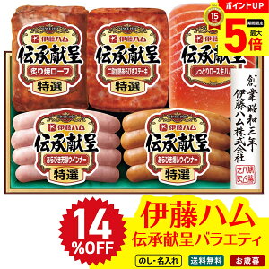 14OFF yő|Cg5{DAYz Ε Ε  ~Mtg AΕ Mtg v[g  Mtg 2025 ɓn `oGeBMtg uDO-390v  Hi n ɓn u