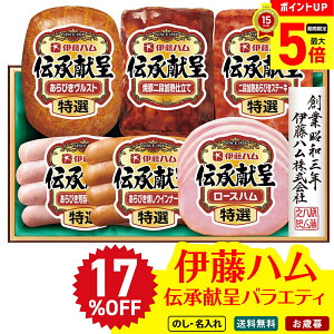 17OFF yő|Cg5{DAYz Ε Ε  ~Mtg AΕ Mtg v[g  Mtg 2025 ɓn `oGeBMtg uDO-590v  Hi n ɓn u