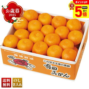 y12/1܂ōő|Cg5{z Ε Ε  ~Mtg AΕ Mtg v[g  Mtg 2025 a̎RY Lc݂ uG13-2Bv t[c ʕ ݂ ~J  a̎RY