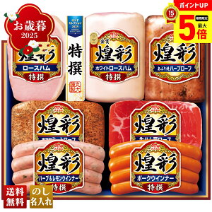 y12/1܂ōő|Cg5{z Ε Ε  ~Mtg AΕ Mtg v[g  Mtg 2025 ۑHi ʃMtg uMV-767v  Hi n ۑHi uhn hZ