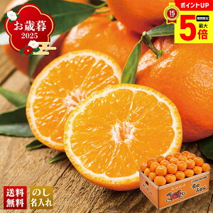 y12/1܂ōő|Cg5{z Ε Ε  ~Mtg AΕ Mtg v[g  Mtg 2025 a̎RY Lc݂ uQ13-3Av t[c ʕ ݂ ~J  a̎RY L