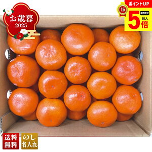 yő|Cg5{z Ε Ε  ~Mtg AΕ Mtg v[g  Mtg 2025 쌧Y g݂ uW13-9Bv t[c ʕ ݂ ~J  쌧Y