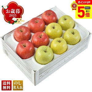 yő|Cg5{DAYz Ε Ε  ~Mtg AΕ Mtg v[g  Mtg 2025 Tӂт uW14-4Yv t[c ʕ  S Tӂ 