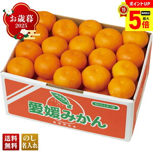 yő|Cg5{z Ε Ε  ~Mtg AΕ Mtg v[g  Mtg 2025 Q݂ uY13-6Bv t[c ʕ ݂ ~J  Q݂