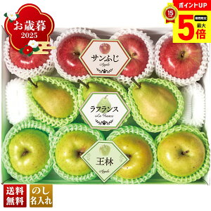 yő|Cg5{z Ε Ε  ~Mtg AΕ Mtg v[g  Mtg 2025 ~̉ʎ3l uY14-16Av t[c ʕ 3 ʎ l