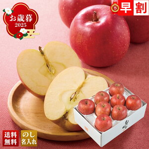 Ε Ε  ~Mtg AΕ Mtg v[g  Mtg 2025 JAȂ̐{n Tӂ uA12-1v t[c ʕ  S ӂ JAȂ̐{ lC i 蕨 