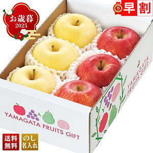 Ε Ε  ~Mtg AΕ Mtg v[g  Mtg 2025 R`Y TӂƂ͂邩Hה uA12-5v t[c ʕ  S R`Y Tӂ Hה