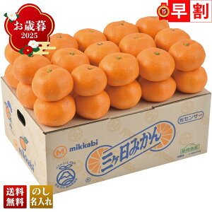 Ε Ε  ~Mtg AΕ Mtg v[g  Mtg 2025 ÉY OP݂ uA13-1v t[c ʕ ݂ ~J  ÉY