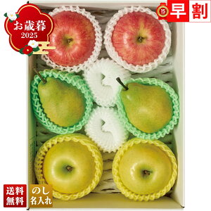 Ε Ε  ~Mtg AΕ Mtg v[g  Mtg 2025 R`Y 3̉ʎl uA15-12Bv t[c ʕ R`Y 3 ʎ l