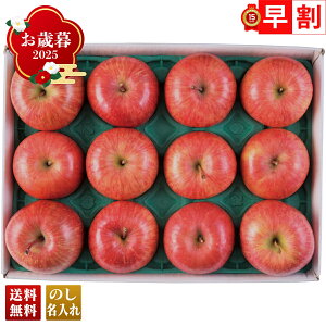 Ε Ε  ~Mtg AΕ Mtg v[g  Mtg 2025 JAOO Tӂ񂲁iW[j uB12-3v t[c ʕ  S Tӂ JA