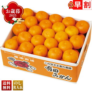 お歳暮 御歳暮 早割 冬ギフト 帰歳暮 ギフト プレゼント 送料無料 ギフト 2025 和歌山県産 有田みかん 「B13-1B」 フルーツ 果物 みかん ミカン 蜜柑 和歌山県産