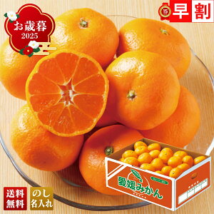 Ε Ε  ~Mtg AΕ Mtg v[g  Mtg 2025 Q݂ uB13-3v t[c ʕ ݂ ~J  Q݂