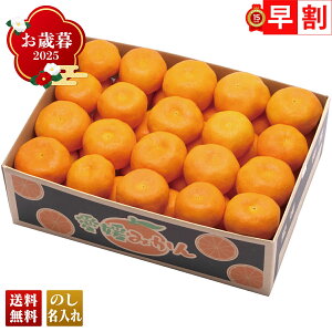 Ε Ε  ~Mtg AΕ Mtg v[g  Mtg 2025 Q݂ uB13-4v t[c ʕ ݂ ~J  Q݂