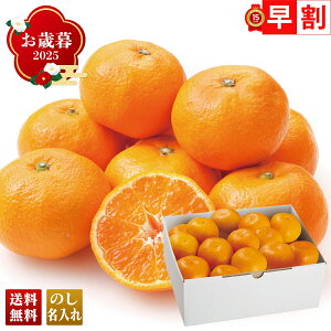 Ε Ε  ~Mtg AΕ Mtg v[g  Mtg 2025 킩܏M݂O[v 킩܏M݂ uB13-6v t[c ʕ ݂ ~J  lC i 